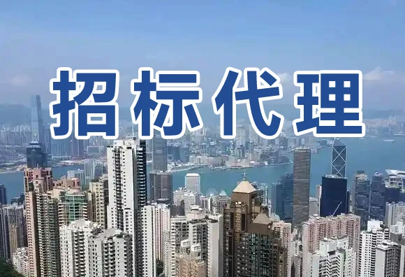 招标代理